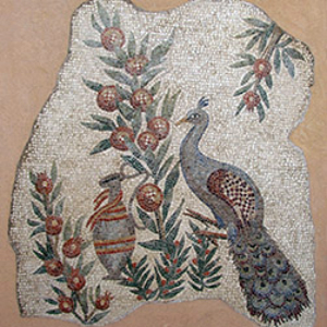 pavone copia romana mosaico classico