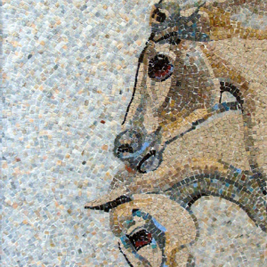 cavalli-mosaico-moderno