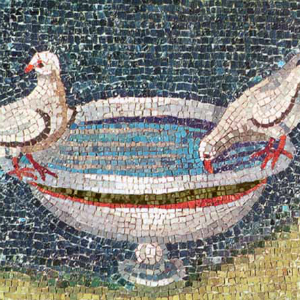 colombe mausoleo galla placidia eseguite durante il corso di mosaico bizantino